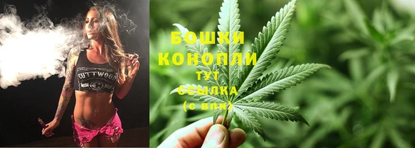 тгк Новодвинск