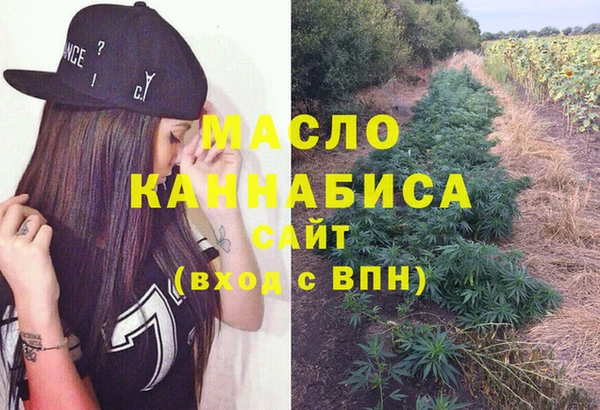 тгк Новодвинск