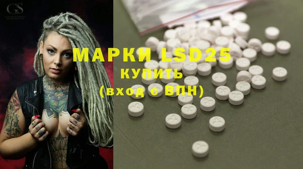 apvp Новозыбков