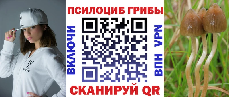 Псилоцибиновые грибы Psilocybine cubensis  где купить   это Telegram  Лодейное Поле 